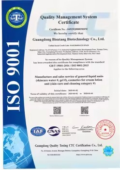 ISO 9001 Certificate